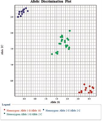 rs62139665 Polymorphism in the Promoter Region of EpCAM Is Associated With Hepatitis C Virus-Related Hepatocellular Carcinoma Risk in Egyptians